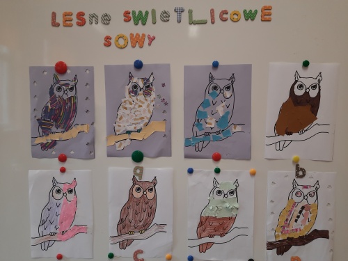 Leśne świetlicowe sowy