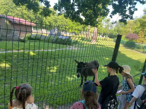 Uczniowie klasy 2b na wycieczce w ZOO