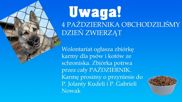 Plakat z akcji, na plakacie m.in. pies za kratami ogrodzenia