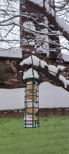 Zdjęcia z akcji - karmniki i pokarm, dzieci uczestniczące w akcji.