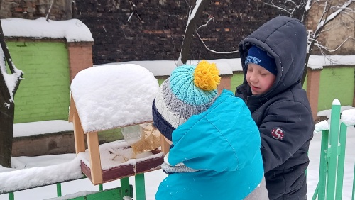 Zdjęcia z akcji - karmniki i pokarm, dzieci uczestniczące w akcji.