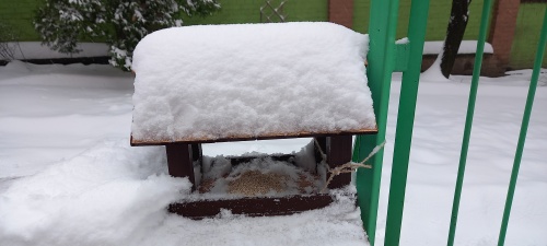 Zdjęcia z akcji - karmniki i pokarm, dzieci uczestniczące w akcji.