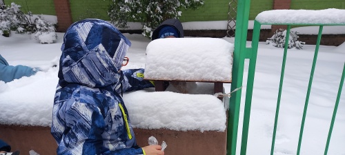 Zdjęcia z akcji - karmniki i pokarm, dzieci uczestniczące w akcji.