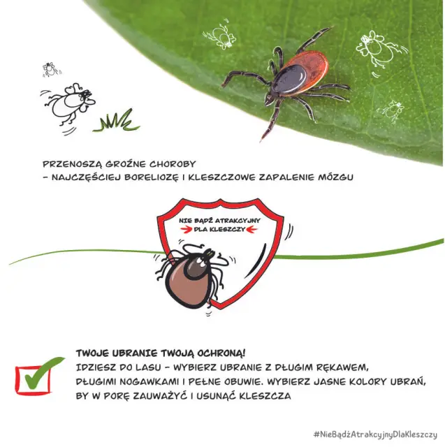 Infografika akcji