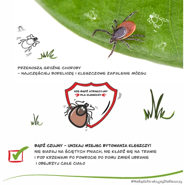 Infografika akcji