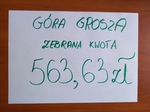Zdjęcie z akcji zbierania groszy