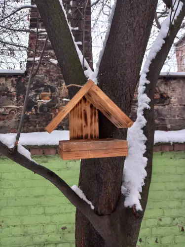 Zdjęcia z dokarmiania ptaków