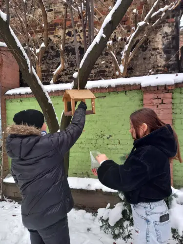 Zdjęcia z dokarmiania ptaków