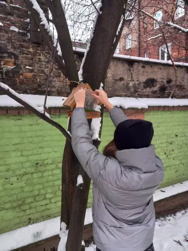 Zdjęcia z dokarmiania ptaków